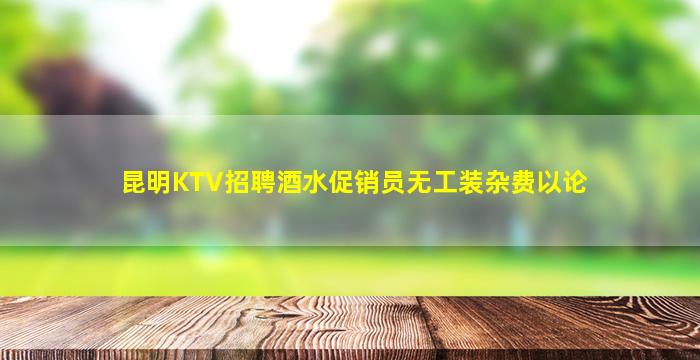 昆明KTV招聘酒水促销员无工装杂费以论